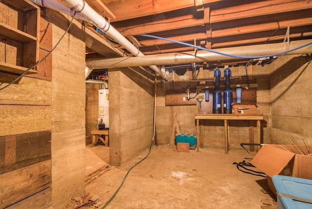 basement with gas water heater