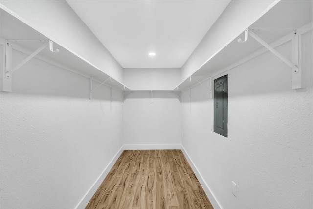 spacious closet featuring electric panel and wood-type flooring