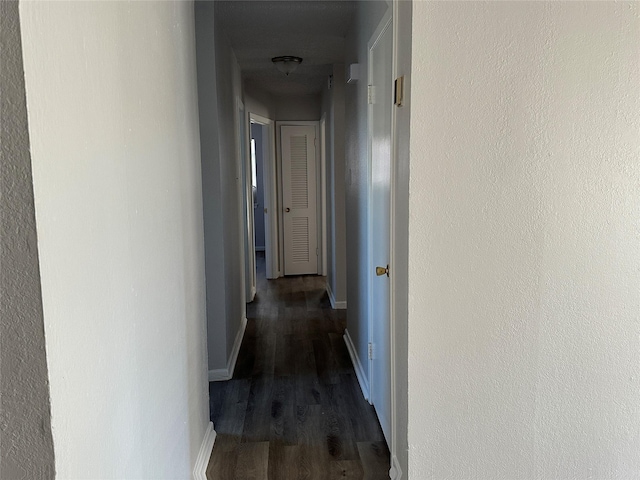 corridor with dark wood-type flooring