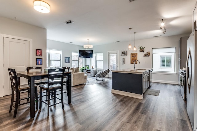 dining room featuring sink, plenty of natural light, and dark hardwood / wood-style flooring