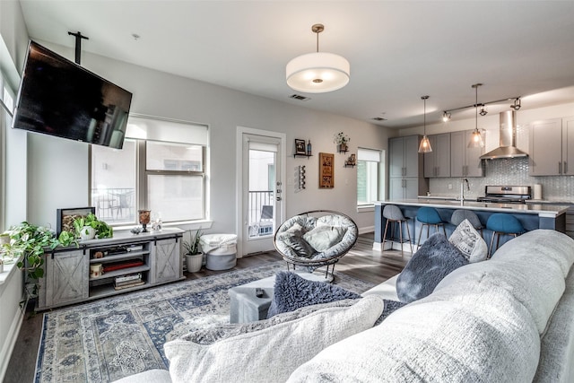 living room featuring sink and dark wood-type flooring