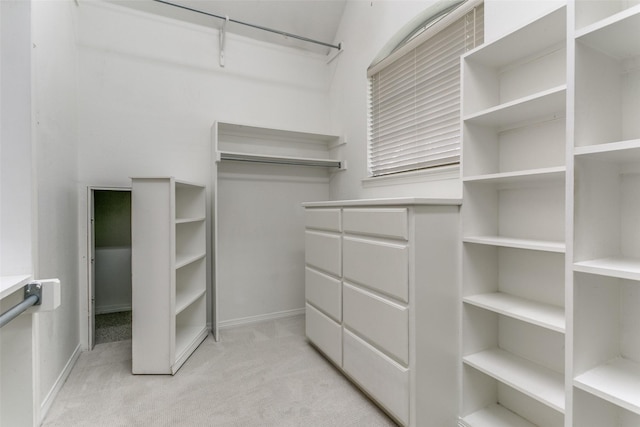 spacious closet with light colored carpet