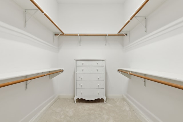 walk in closet featuring light colored carpet