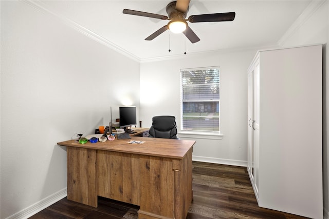 office area with ornamental molding, ceiling fan, and dark hardwood / wood-style flooring