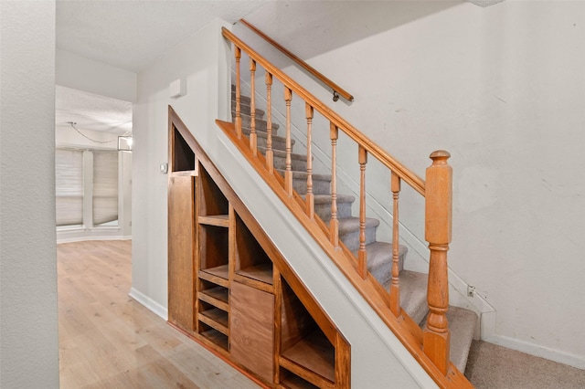 staircase with hardwood / wood-style floors