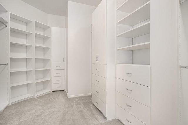 spacious closet featuring light colored carpet