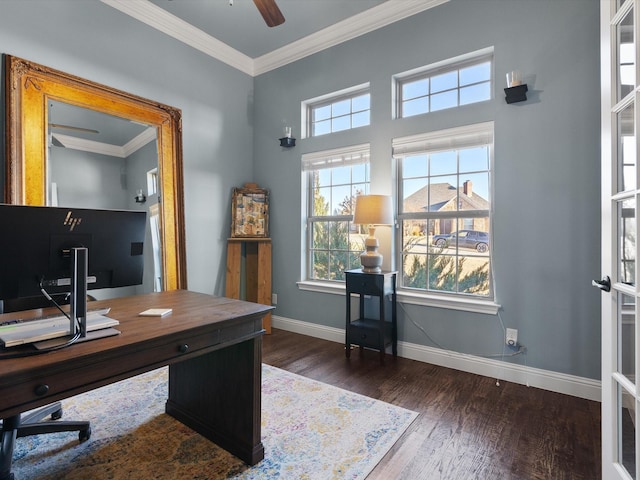 office space with crown molding, dark wood-type flooring, and ceiling fan