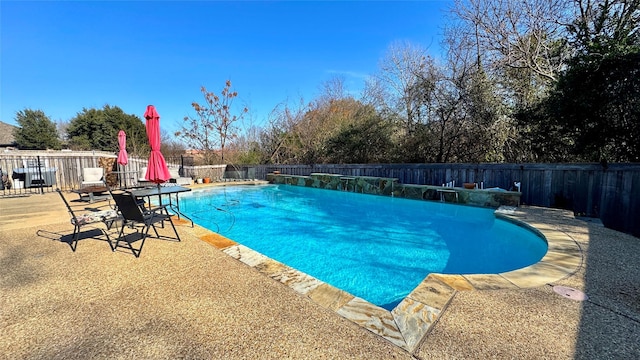 view of pool featuring a patio area and pool water feature