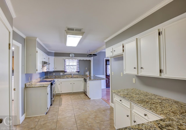 kitchen with sink, white cabinets, light stone counters, ornamental molding, and stainless steel appliances