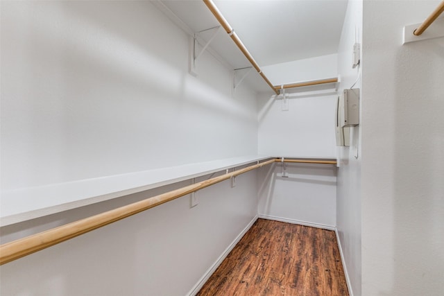 spacious closet with dark wood-type flooring