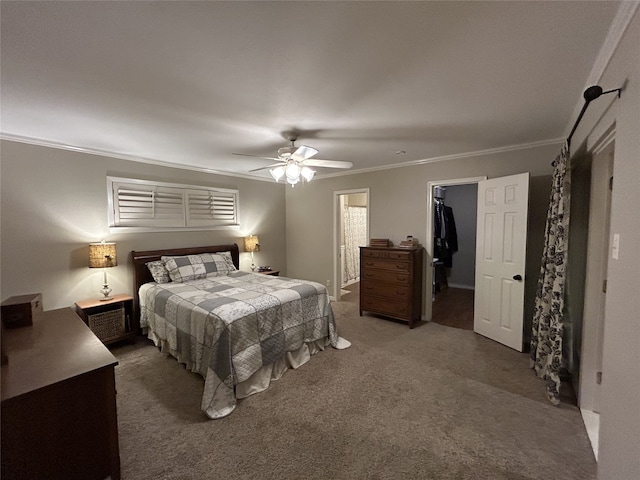 carpeted bedroom with crown molding, ceiling fan, a spacious closet, and a closet