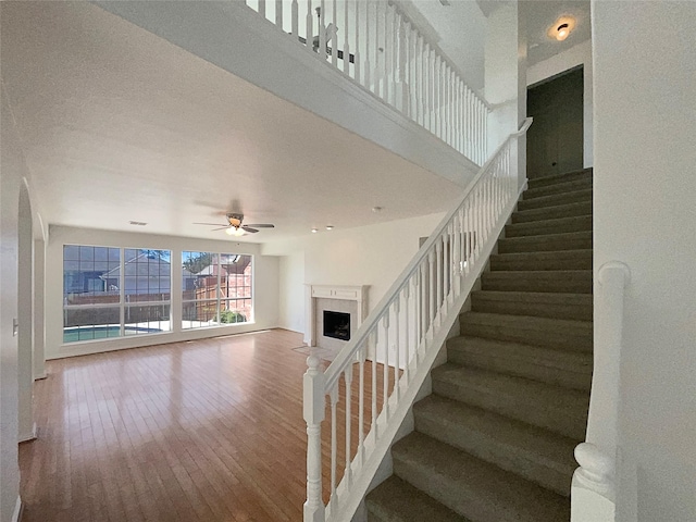 stairs featuring hardwood / wood-style flooring and ceiling fan