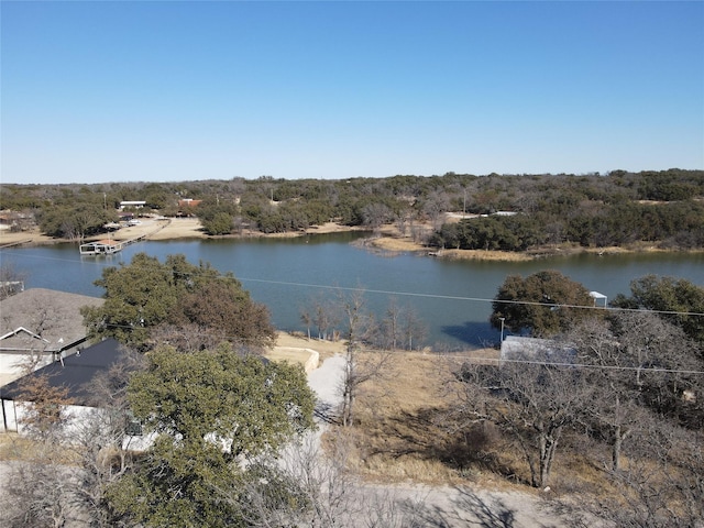 Listing photo 3 for TBD County Road 600, Brownwood TX 76801