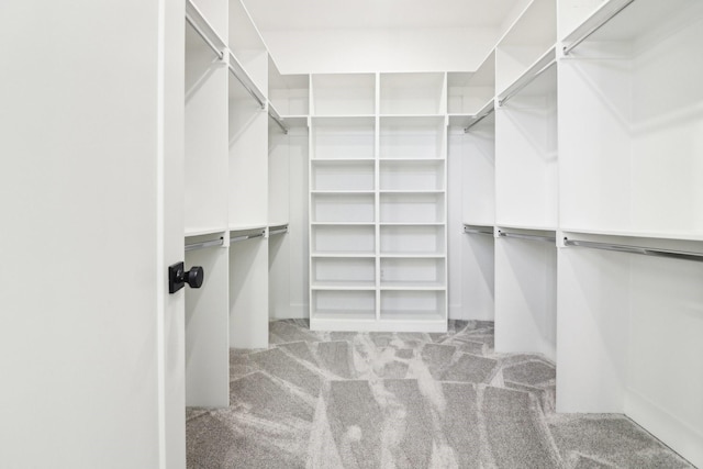 walk in closet featuring light carpet