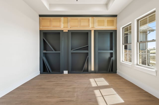 empty room with hardwood / wood-style flooring and a raised ceiling