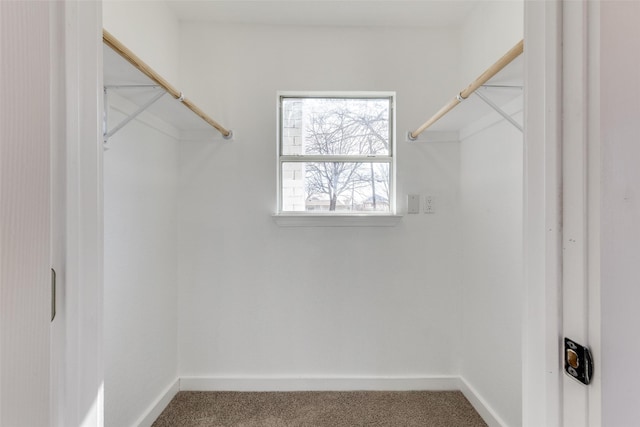 walk in closet featuring carpet flooring