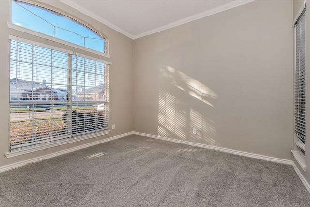 carpeted spare room featuring ornamental molding