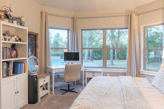 carpeted bedroom with multiple windows