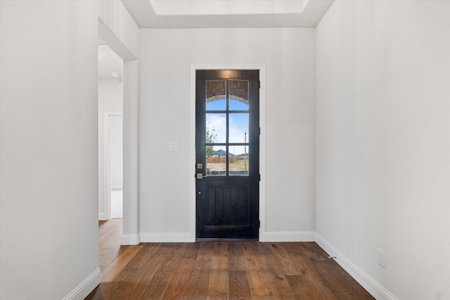 entrance foyer featuring dark wood-type flooring