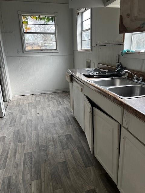 kitchen with white cabinetry, dishwasher, sink, and light wood-type flooring