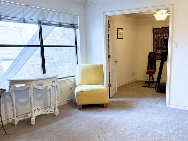 sitting room featuring crown molding, baseboards, and carpet flooring