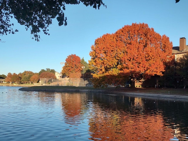 property view of water