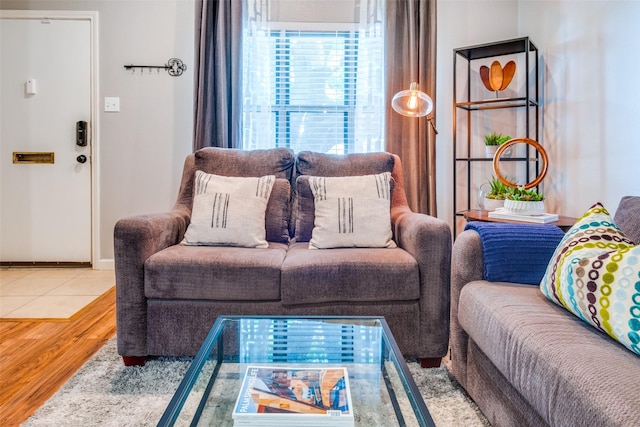 living room with hardwood / wood-style floors