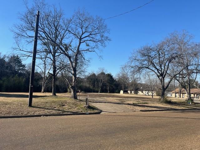 511 Big Rock St, Canton TX, 75103 land for sale