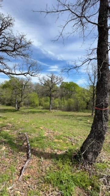 45 Hagen Lee Ln, Mineral Wells TX, 76067 land for sale