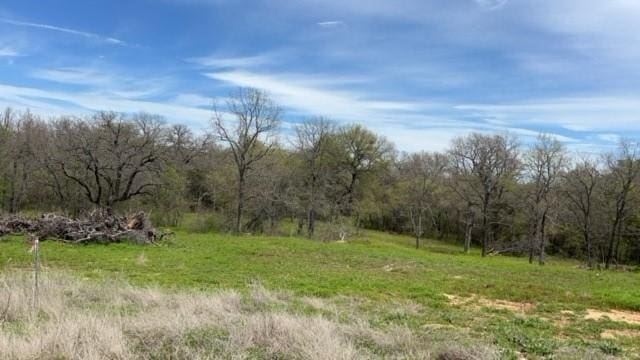 Listing photo 2 for 45 Hagen Lee Ln, Mineral Wells TX 76067