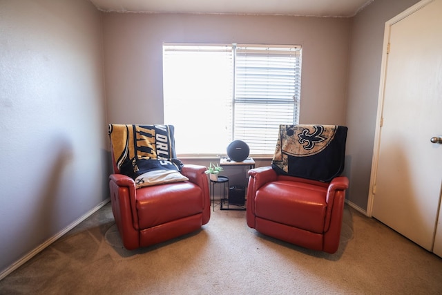 sitting room featuring carpet flooring