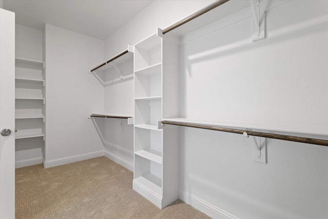 spacious closet featuring light colored carpet