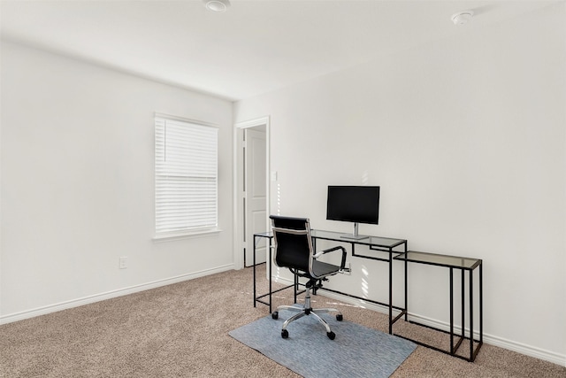 office featuring a wealth of natural light and carpet