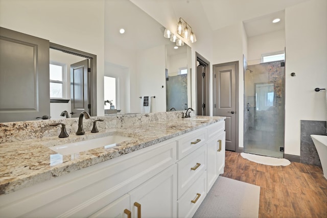 bathroom featuring hardwood / wood-style flooring, walk in shower, and vanity