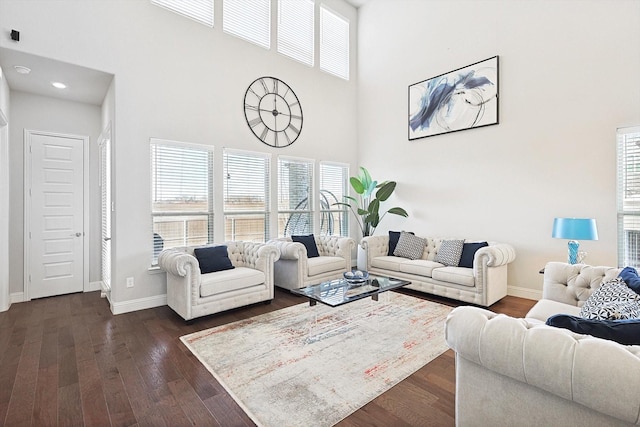 living room with a high ceiling and dark wood-type flooring