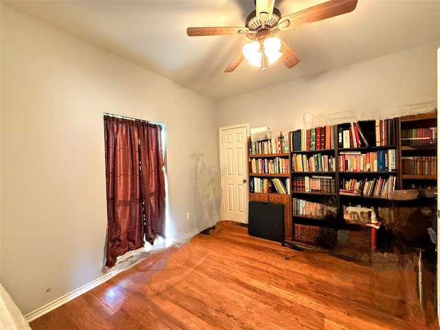 interior space featuring ceiling fan and wood-type flooring