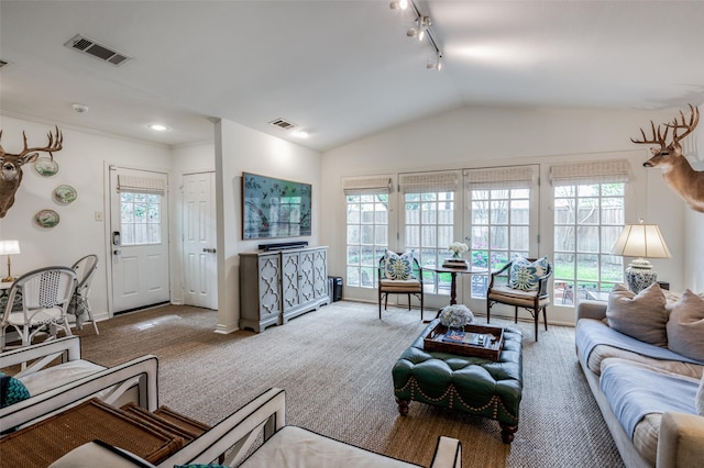 carpeted living room with lofted ceiling, a healthy amount of sunlight, and track lighting