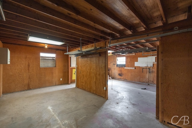 basement featuring wooden walls