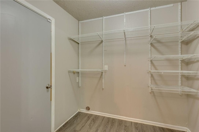 spacious closet featuring wood-type flooring