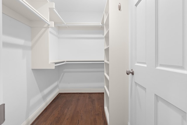 walk in closet featuring dark wood-type flooring