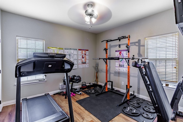 workout area featuring ceiling fan, wood-type flooring, and a healthy amount of sunlight