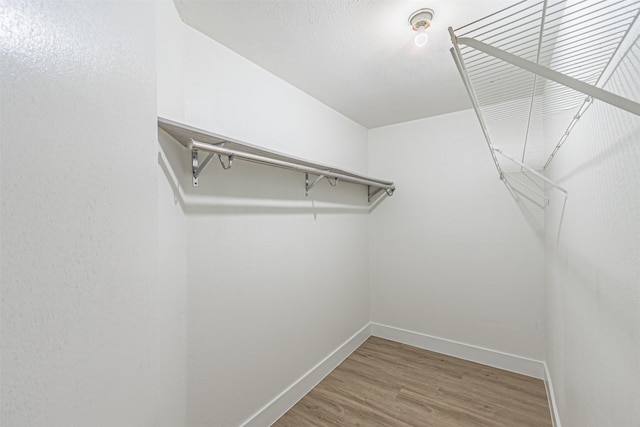 spacious closet featuring hardwood / wood-style floors