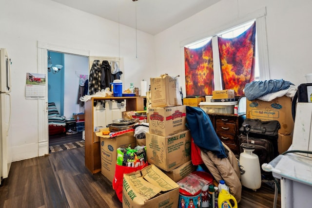 interior space with dark wood-type flooring