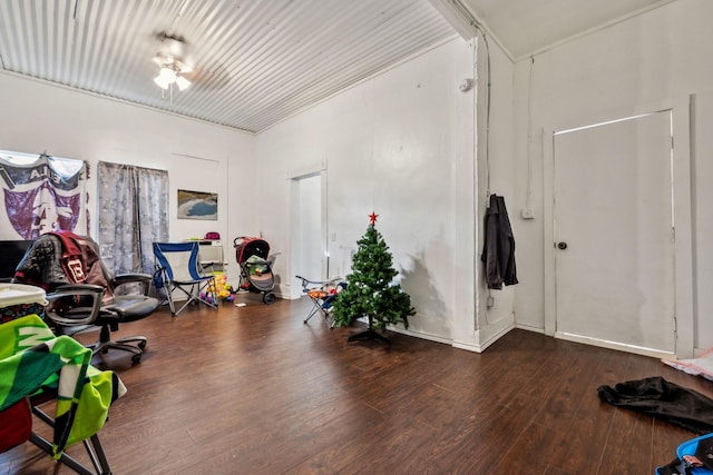 misc room featuring dark hardwood / wood-style flooring