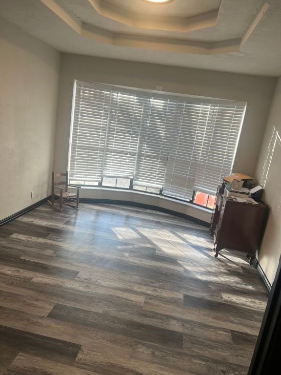 spare room with a raised ceiling and dark hardwood / wood-style flooring