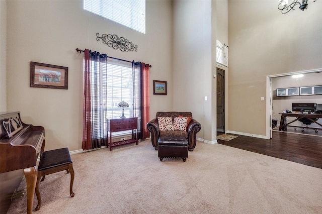 living area with carpet and a high ceiling