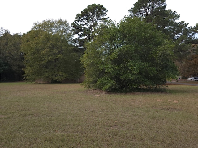 401 Campbell St, Daingerfield, TX 75638 - view of grassy yard