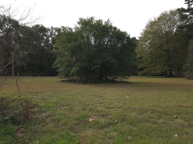 401 Campbell St, Daingerfield, TX 75638 - view of green lawn featuring a view of trees