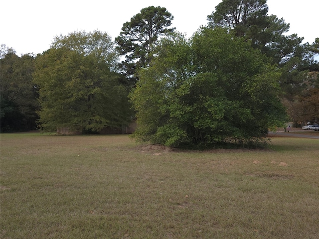 view of local wilderness