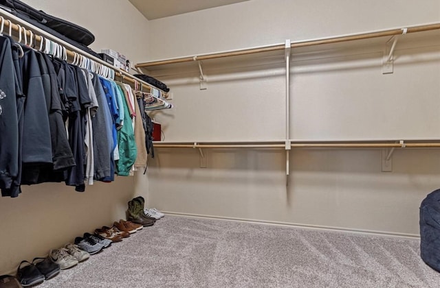 walk in closet featuring carpet floors